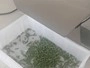 Multifunctional Vegetable Cutting Machine (Double Head)
