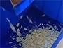 Vegetable Dicing Machine (300-800kg/h)