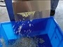 Vegetable Chopper for Stuffing