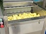Brush Peeling Machine