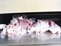 Fresh Meat Slicer (Three Thicknesses)