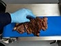 Cooked Meat Slicing Machine