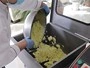 Meat Mixing Machine