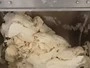 Horizontal Dough Mixer (45L/90L/150L)