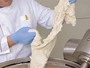 Dough Mixer (Bowl Type)